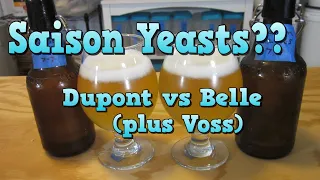 Best Saison Yeast? Dupont vs Belle Saison (plus Voss)