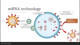 COVID-19 Vaccine Hesitancy Webinar