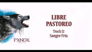 Libre Pastoreo - Panda (Letra) HD