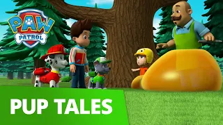 PAW Patrol - Pups Save the Mini Patrol - Rescue Episode - PAW Patrol Official & Friends!