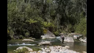 Fly Fishing in the Kiewa River, North East Victoria