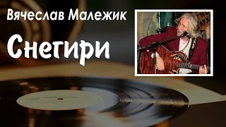 Вячеслав Малежик - Снегири | Трофим (2022)