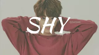 Jungkook - Shy [fmv]