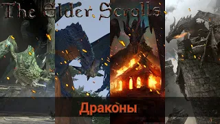 Драконы-The Elder Scrolls