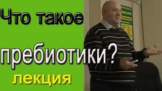 Что такое пребиотики | Как правильно делать выпойку цыплят?