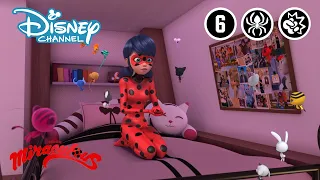 Miraculous | Un Nouveau Chat Noir ? | Disney Channel BE