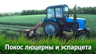 Покос люцерны и эспарцета 2019.