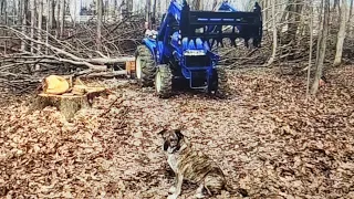 Logging Clean UP!