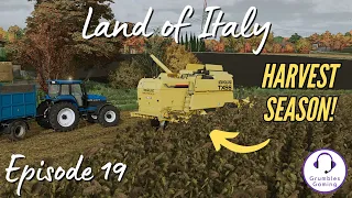 STARTING WITH SUNFLOWERS! | Land of Italy | FS 22 | Episode 19