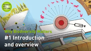 Why Biodiversity Matters: #1 Introduction and overview