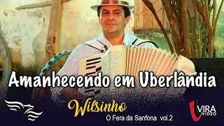 Amanhecendo em Uberlândia - WILSINHO "O Fera da Sanfona" vol.2