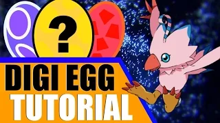 Digimon World: Next Order - Know Your Egg | A Baby & Rookie Guide!