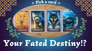 What Is Your Fated Destiny!?✨🕯️✨⎜ Pick a card⎜Timeless Reading