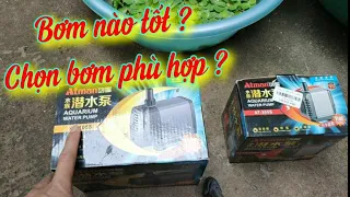 Chọn bơm bể cá koi cho người mới bắt đầu, kinh nghiệm chọn bơm phù hợp, cách xử lý bơm quá tải.