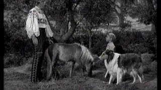 Lassie - Episode #126 - "The Pony" - Season 4, #23 (2/09/1958)