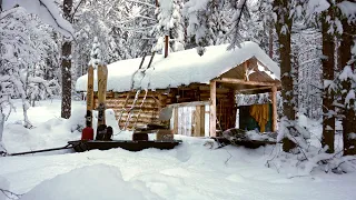 КАНИКУЛЫ С БАТЕЙ В ТАЙГЕ! / 3 ДНЯ В ЛЕСУ / ПРОРЫВАЕМСЯ К ИЗБЕ / РЫБАЛКА НА ЖЕРЛИЦЫ / 1 Часть