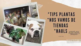 🌵 Mis trucos de PLANTAS +🛒 Nos vamos de tiendas y HAUL (Primark, SHEIN y ALIEXPRESS) | vlog01