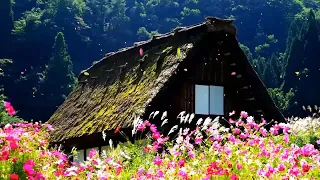 【中國風極品】超極致中國風音樂 - 泱泱華夏千古風華 Relaxing Chinese Music