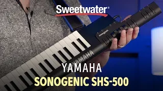 Yamaha Sonogenic SHS-500 Keytar Demo — Daniel Fisher