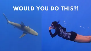 Open Water SHARK Diving in HAWAII | Was it worth it?!