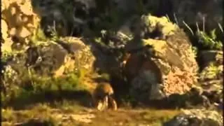 (30) Ushuaia Nature - Le pays des origines (Ethiopie)