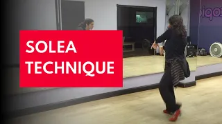 Flamenco Dance Solea Upper Body Technique