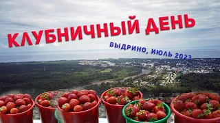 Клубничное настроение. Фестиваль клубники в Выдрино, 22 июля 2023