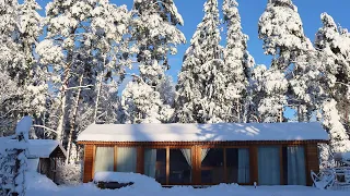 Coping with a lot of snow at the off-grid cabin | Story 29
