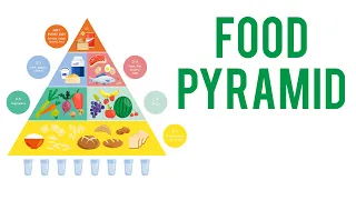 Food Pyramid  |  Educational Video For Kids  |  AZ kids