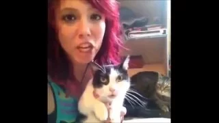 Funny Cat Videos 2016  Cat Vines Compilation