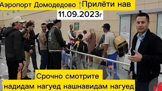 Аэропорт Домодедово прилёт 11 09 2023г