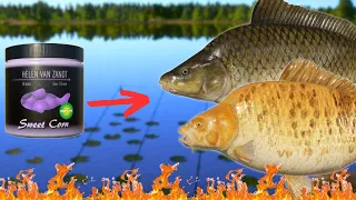 SUPER HOT BITERATE SPOT IN AMBER LAKE!! #957 Russian fishing 4