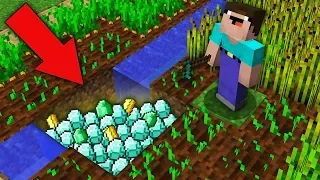 Minecraft NOOB vs PRO: NOOB FOUND TREASURE UNDER FARMLAND THIS VILLAGE! Challenge 100% trolling