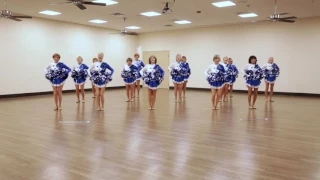 Sun City Poms:  America's Got Talent