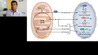 Linking Cancer Metabolism to Neurodegeneration