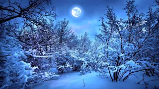 Erutan Winter Moon