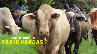 Fazenda dos Touros de Rodeio da Cia. Fábio Vargas.