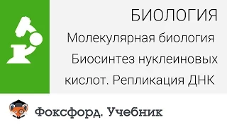 Биология. Биосинтез нуклеиновых кислот. Репликация ДНК. Центр онлайн-обучения «Фоксфорд»