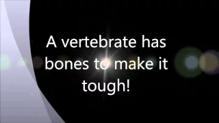 The Vertebrate Song