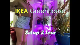 My IKEA Greenhouse Cabinet: Tour and Setup