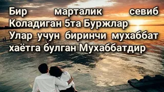 Бир марталик севиб Коладиган 5та Буржлар Улар учун биринчи мухаббат хаётга булган Мухаббатдир