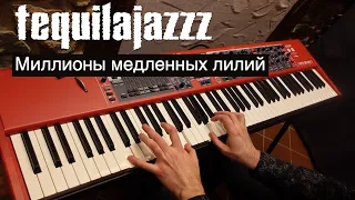 Tequilajazzz - Миллионы медленный лилий | Кавер на фортепиано: Евгений Алексеев