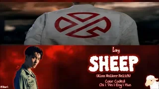 Lay - SHEEP 羊 (Alan Walker Relift) [Color Coded Lyrics CHI|PIN|ENG|HUN]