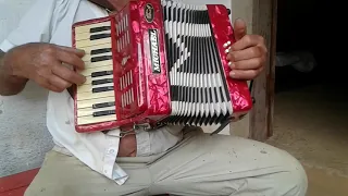 Acordeon 8 baixos da pra tocar de verdade !!!