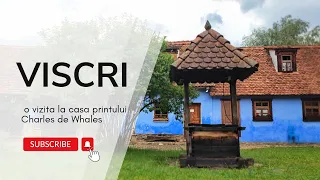 VISCRI - un satuc de poveste