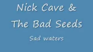 Nick Cave & The Bad Seeds - Sad Waters