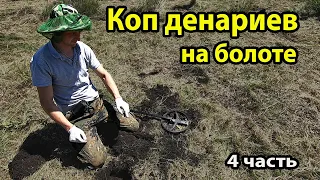 Коп на высохшем болоте! Столько денариев это шок.