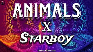 Animals x Starboy / Full Version / Slowed + Reverb / 🎧 / Lyrics song