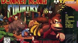 Donkey Kong Country (SNES) Longplay [112]