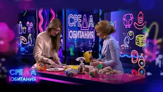 ПРЯНИКИ | СРЕДА ОБИТАНИЯ | АНОНС